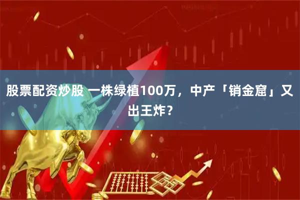 股票配资炒股 一株绿植100万，中产「销金窟」又出王炸？